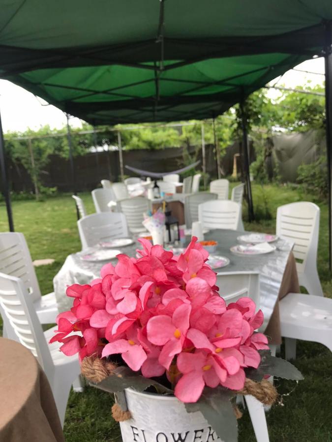 Къща За Гости Рупите , Guest House Relax Rupite Exteriér fotografie